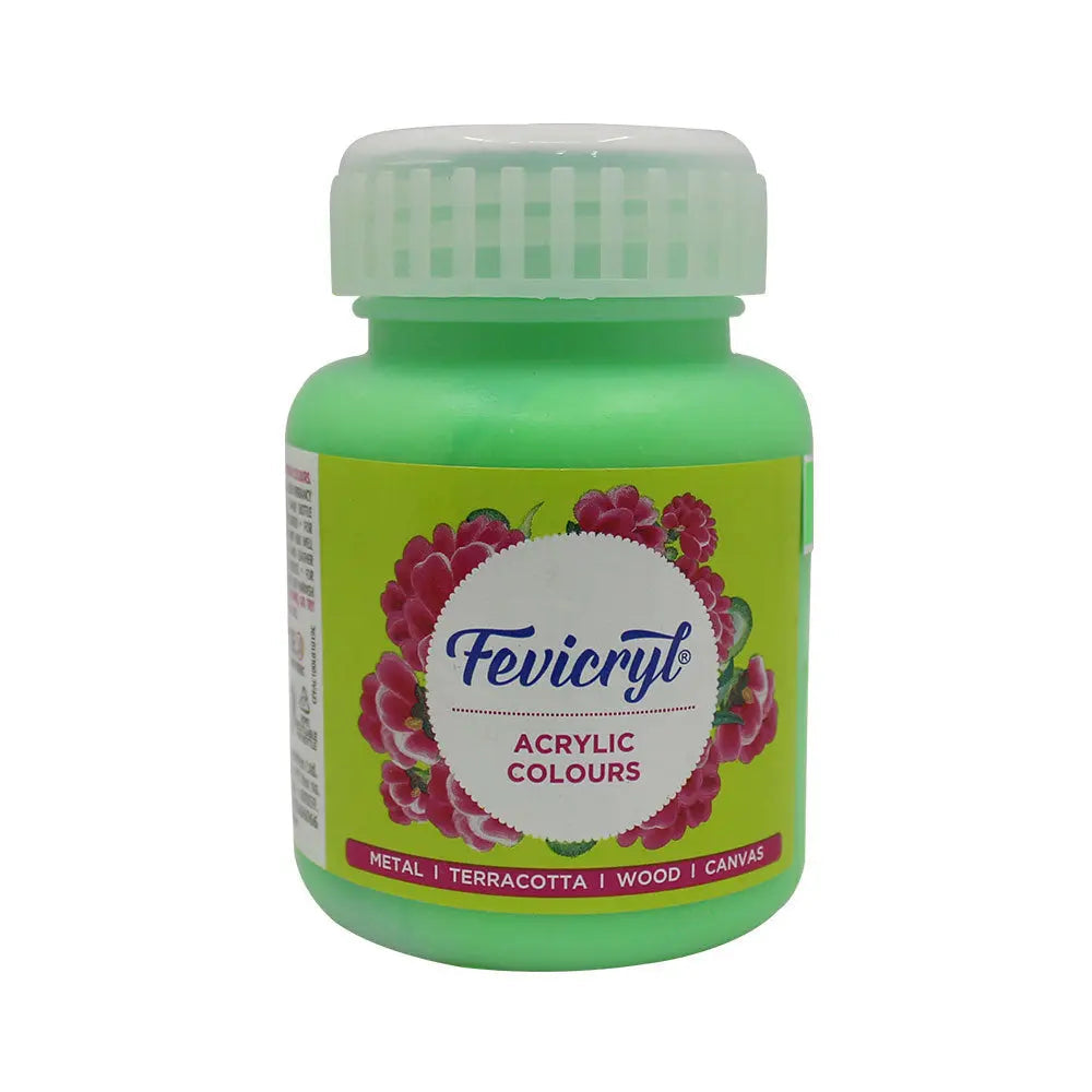 PIDILITE Fevicryl Acrylic Colour 100ml for Art and Craft Paint, Canvas, Wood, Leather, Earthenware, Metal