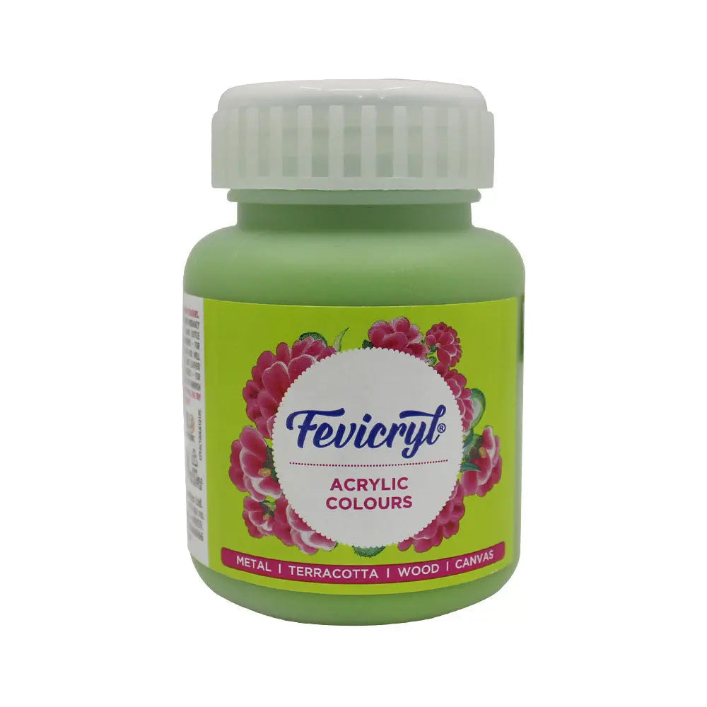 PIDILITE Fevicryl Acrylic Colour 100ml for Art and Craft Paint, Canvas, Wood, Leather, Earthenware, Metal