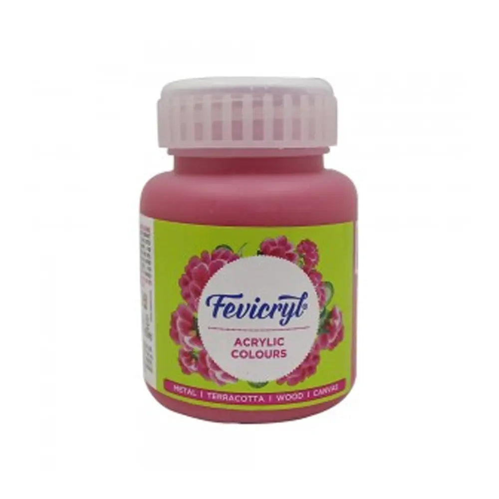 PIDILITE Fevicryl Acrylic Colour 100ml for Art and Craft Paint, Canvas, Wood, Leather, Earthenware, Metal