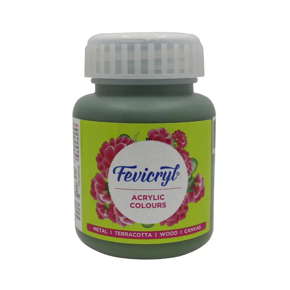 PIDILITE Fevicryl Acrylic Colour 100ml for Art and Craft Paint, Canvas, Wood, Leather, Earthenware, Metal